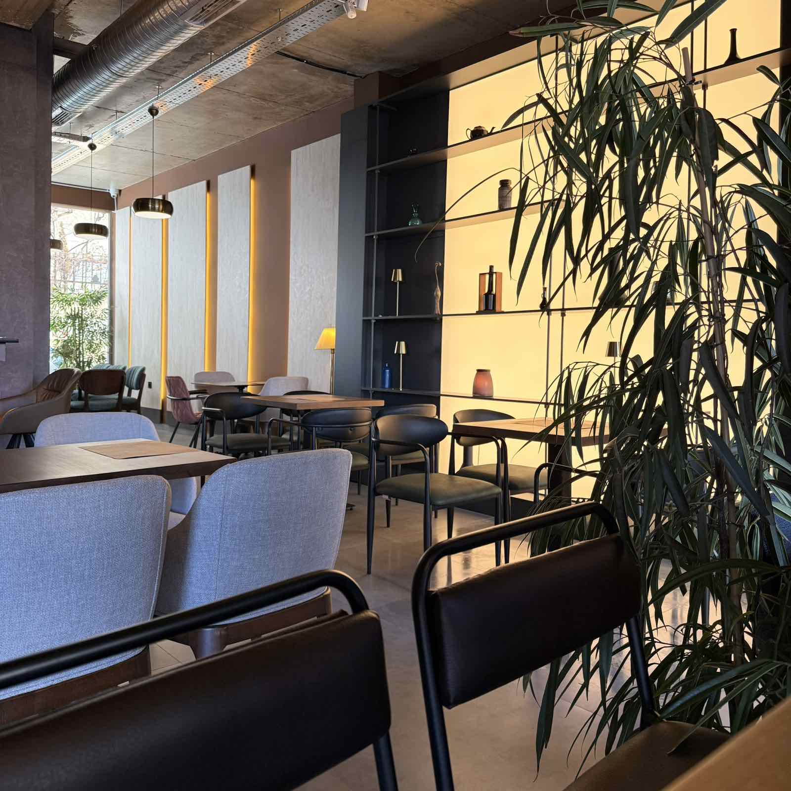 Interieri i ngrohtë i Boka Lounge me gjelbërim dhe tavolina